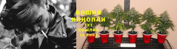 ешки Арсеньев