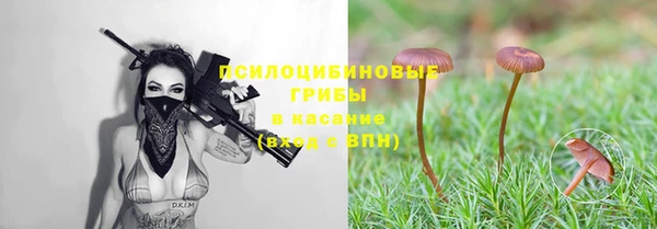 гидра Балахна